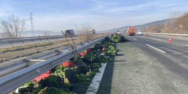 Bolu'da savrulan tırdan otoyola dökülen sebzeler ulaşımı aksattı