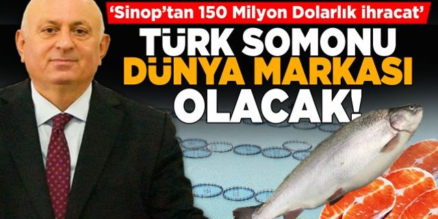 Sinop’tan 150 Milyon Dolarlık İhracat