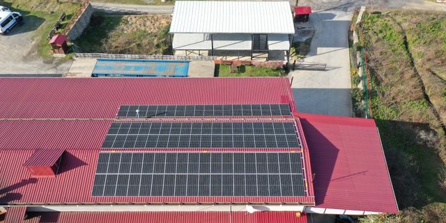 Giresun'da 3 fındık işleme tesisi enerjisini güneşten sağlıyor