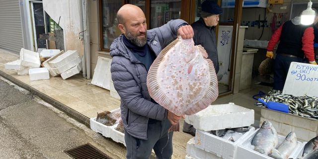 Sinop'ta avlanan kalkan balığı 5 bin liraya satıldı