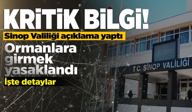 Sinop Valiliğinden kritik karar: Ormanlara giriş yasak!