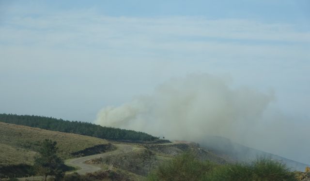 Sinop’ta korkutan ot yangını