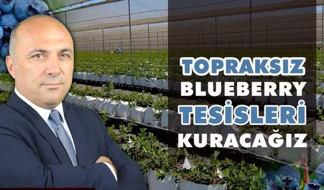 İpek Yolu'nun Modern Mirası: İbrahim Irmak'tan Durağan'a projeler