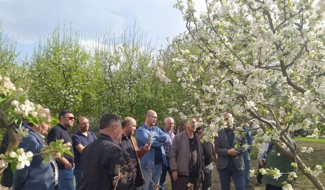 Erzincan’da uygulamalı “Meyve Ağacı Budama” kursu verildi