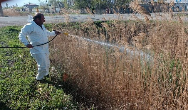 Iğdır belediyesinden sivrisinek ve haşerelere karşı ilaçlama