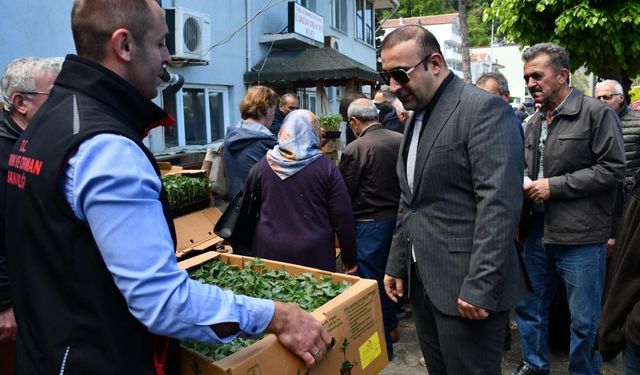 Ayancık'ta vatandaşlara domates ve biber fidesi dağıtıldı