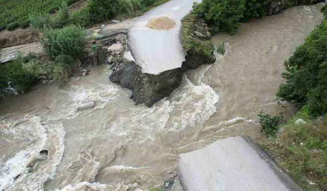 Aşırı yağışla debisi artan dere köprüyü yıktı