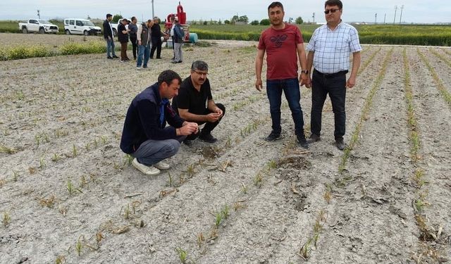 Konya’da ekili alanlarda incelemeler sürüyor