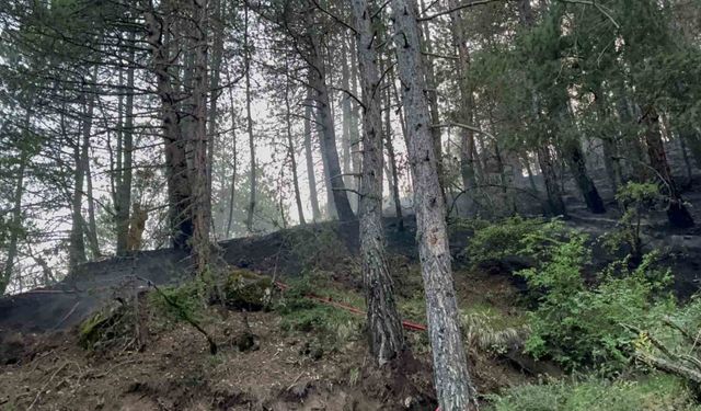 Kastamonu’da düşen yıldırım orman yangınlarına sebep oldu