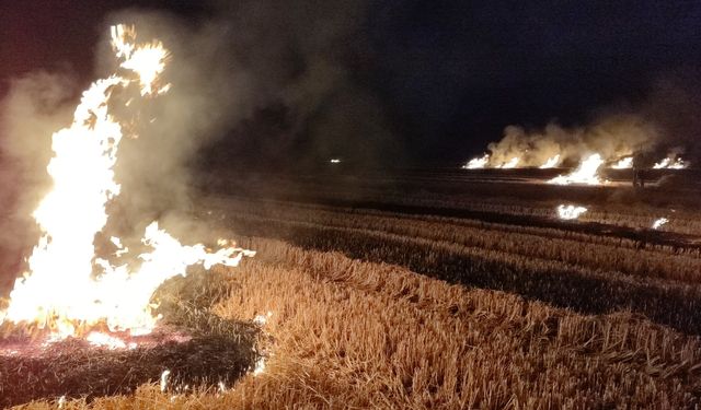 Samsun'da tarım arazisinde çıkan yangın söndürüldü