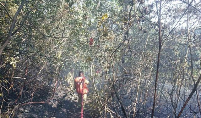 Karabük’te çıkan yangında 15 dönüm alan zarar gördü