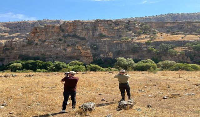 Şırnak’ta kaçak avcılığa karşı ekipler denetimlere devam ediyor