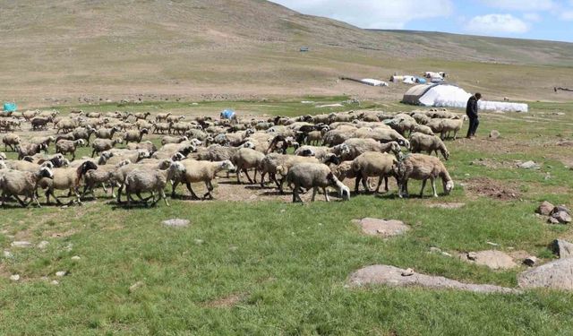 Tarımda yeni yaklaşımlar anlatıldı