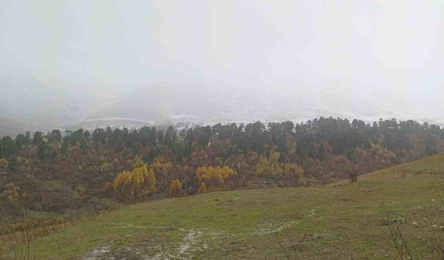 Artvin’in yüksek kesimlerine mevsimin ilk karı düştü