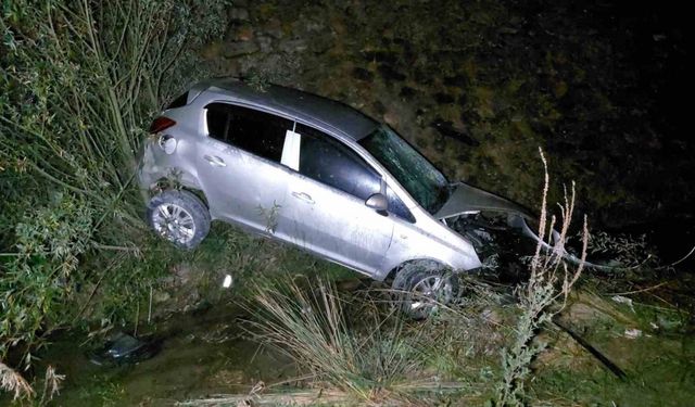 Başıboş köpek kazaya sebep oldu: 1 yaralı