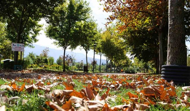 Kent Park’ta sonbahar manzaraları mest etti