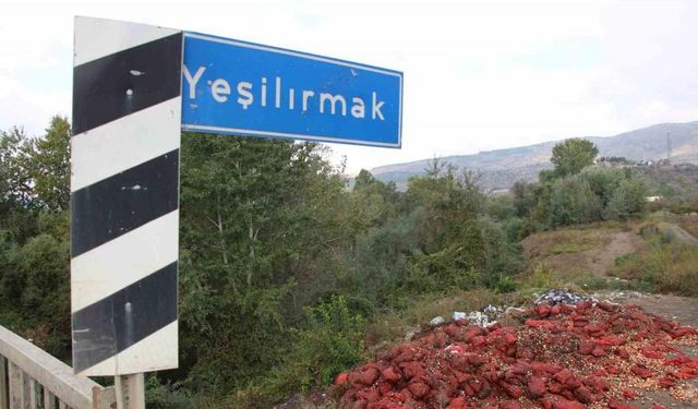 Yeşilırmak Nehri’nin kıyısına çuvallar dolusu soğan ve patlıcan döküldü