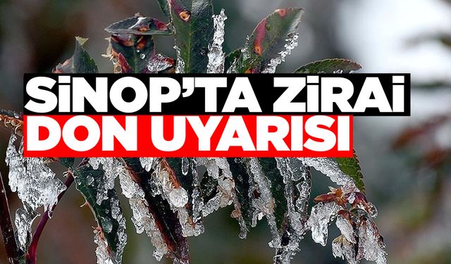 Sinop’ta zirai don uyarısı