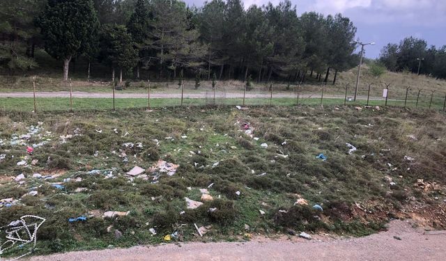 Sinop Panorama Sitesi sakinleri çöplerden şikayetçi