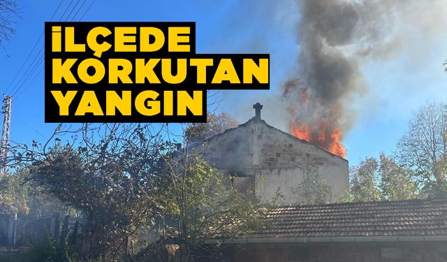 Sinop'un ilçesinde yangın