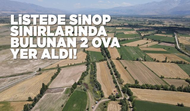 28 ova "büyük ova koruma alanı" olarak belirlendi