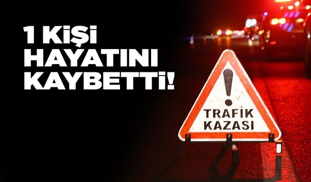 Sinop’ta ölümlü trafik kazası