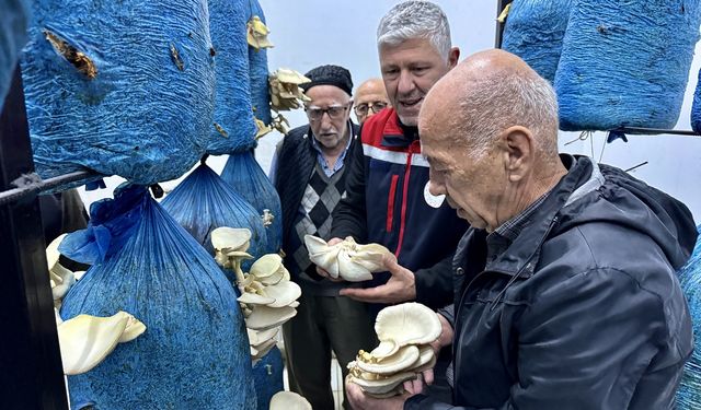 Sinop Huzurevi sakinleri mantar yetiştirmeye başladı