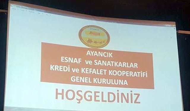 OLAĞAN GENEL KURUL TOPLANTISI