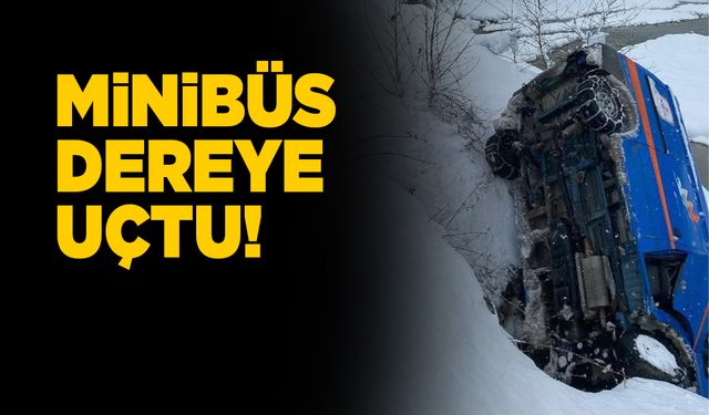 Kargo minibüsü dereye uçtu