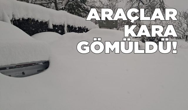 Sinop’ta yağan kar araçların boyunu aştı