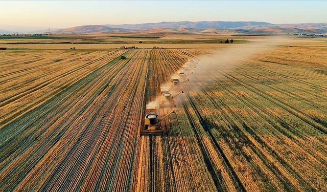 Tarımda Verimlilik ve Katma Değerin Artırılması Destek Başvuruları Başladı