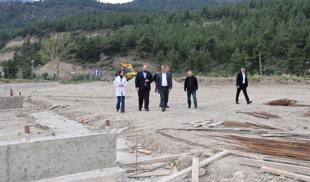 Sahipsiz hayvanlarla ilgili çalışmalar devam ediyor