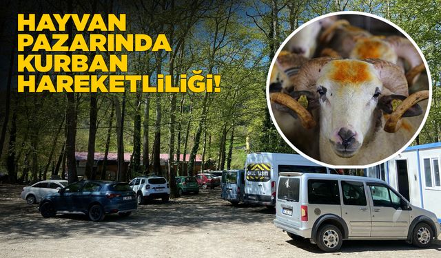 Hayvan pazarında bayram hareketliliği başladı
