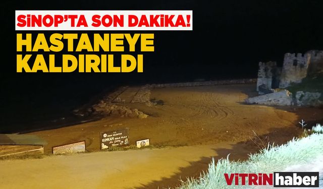 Dengesini kaybedip kayalıklara düştü