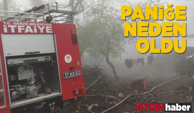 Sinop'ta ahır yangını korkuttu