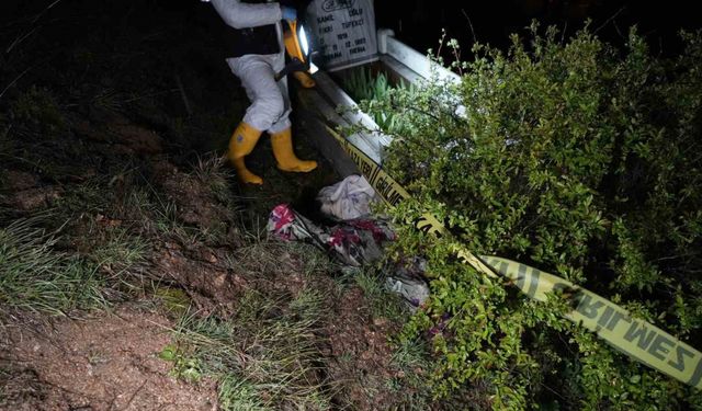 Korkunç olay! Ayılar mezardan cenazeyi çıkarttı