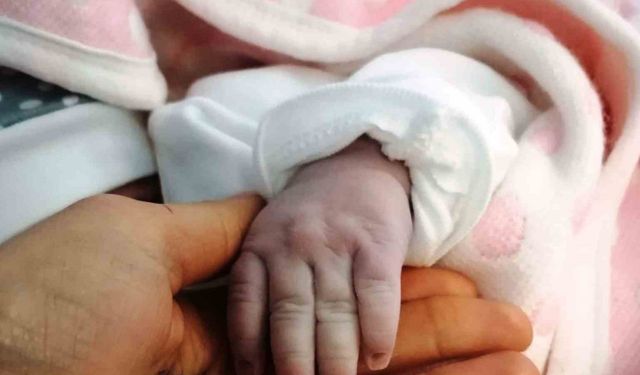 Samsun’da doğum oranı son 6 yılda azaldı