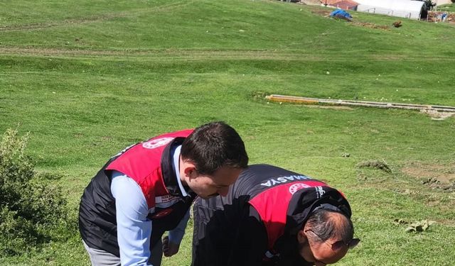Tarım ekipleri süne sürvey çalışmalarını sürdürüyor