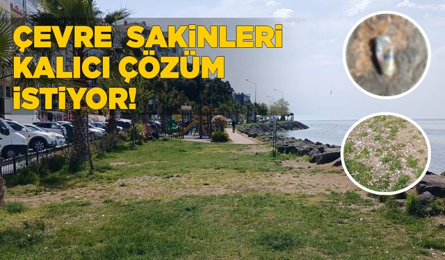 Çocuk parkı çevresinde çöp ve gürültü sorunu