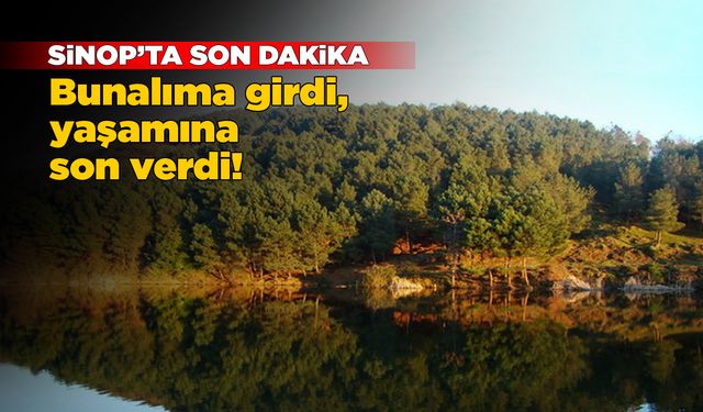 Sinop’ta bir kişi kendini ağaca astı