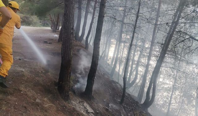 Örtü yangını büyümeden söndürüldü