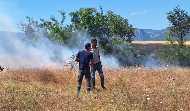 Samsun'da yangın: 30 dönüm ekili arazide zarar oluştu
