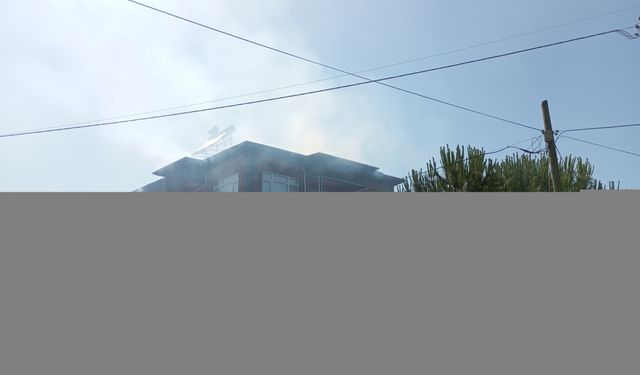 Samsun'da yangınlar hasara yol açtı