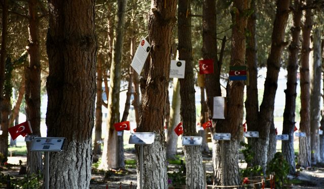 Şehit ve gazilerin adı, mezunu oldukları okuldaki ormanda yaşatılıyor