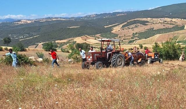 30 dönüm ekili buğday yandı