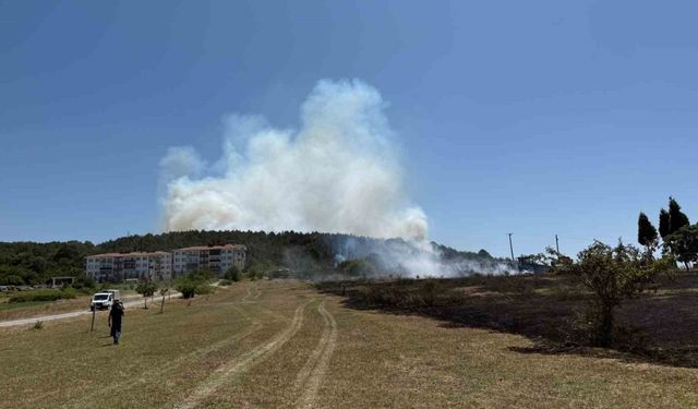 Depoda çıkan yangın ormana sıçradı
