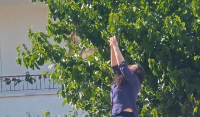 Önce ofisi kurşunladı, sonra intihara kalkıştı
