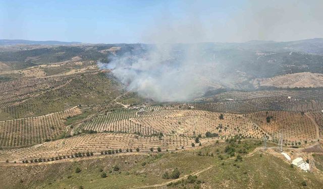 Ormanlık alanda yangına havadan ve karadan müdahale
