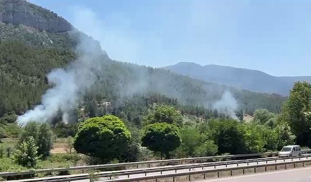 Örtü yangınları büyümeden söndürüldü