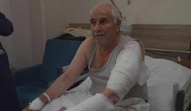 Ot biçen vatandaşa kurt saldırdı